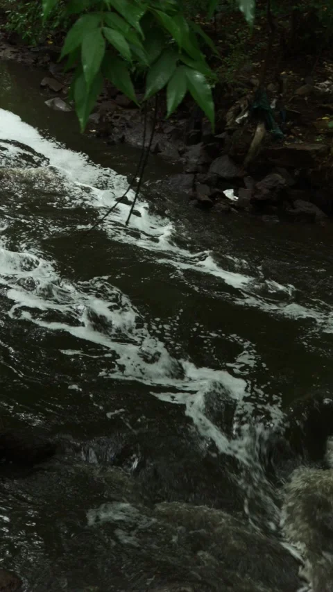 Water flow after rain in the river Stock Footage 159235605