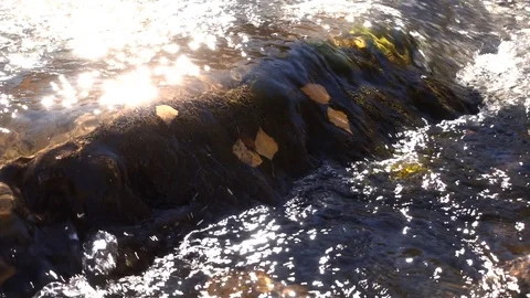 Water flow in the autumn river Stock-Footage 119891631
