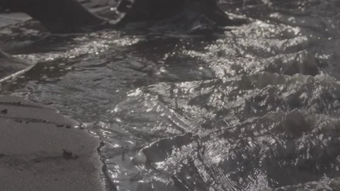 Water flow between the soil Stock Footage 316574607