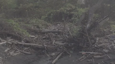 Water flow between the soil Video stock 316575695