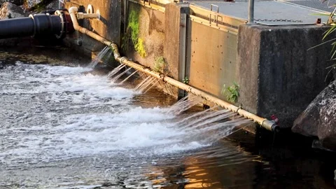 Water Flow at Botanic Gardens Stock Footage 295840006