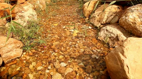Water flow in the brook, seamless loop Stock Footage 2874693