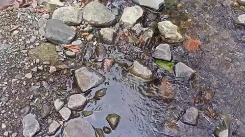 Water flow in the countryside 10 Stock Footage 213460417