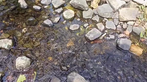 Water flow in the countryside 11 Stock Footage 213460416