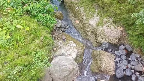 Water flow in the countryside 2 Stock Footage 213462232