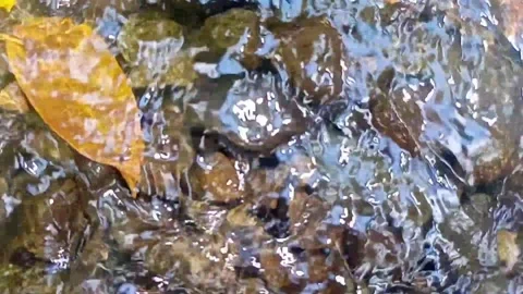 Water flow in the countryside 41 Video stock 213420211