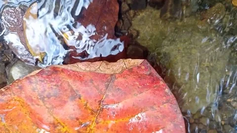 Water flow in the countryside 45 Video stock 213419829