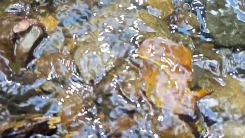 Water flow in the countryside 47 Stock Footage 213419694