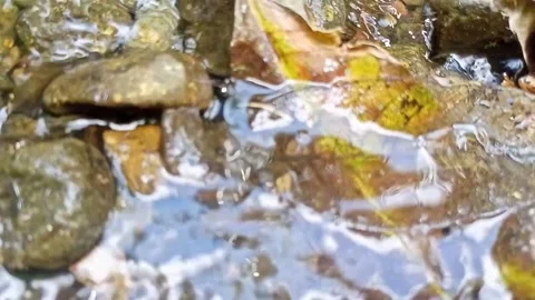Water flow in the countryside 49 Stock Footage 213419688