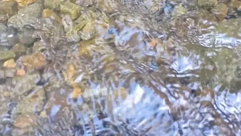 Water flow in the countryside 58 Stock Footage 213416828