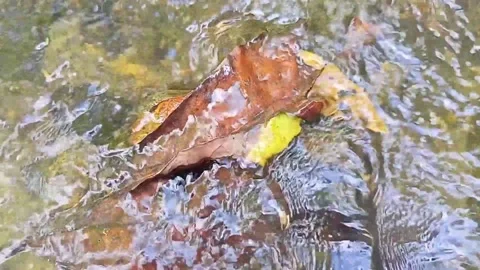 Water flow in the countryside 65 Stock Footage 213416459