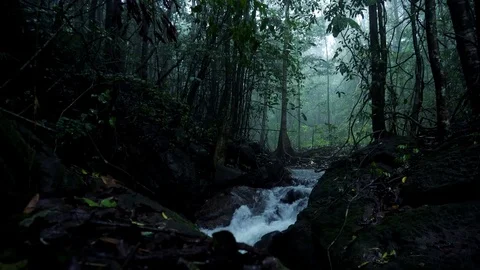 Water flow in a creek Vídeo Stock 116647100