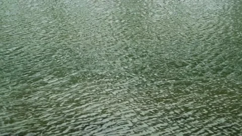 Water Flow is defined as the action or fact of moving along in a steady Stock Footage 199811241