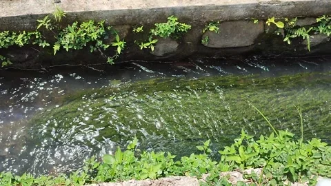Water flow in the ditch Stock Footage 227809109