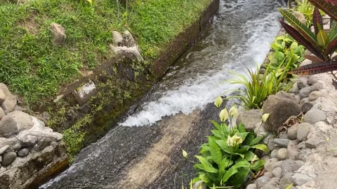 Water flow down on the ditch or small paved river Stock Footage 295496193