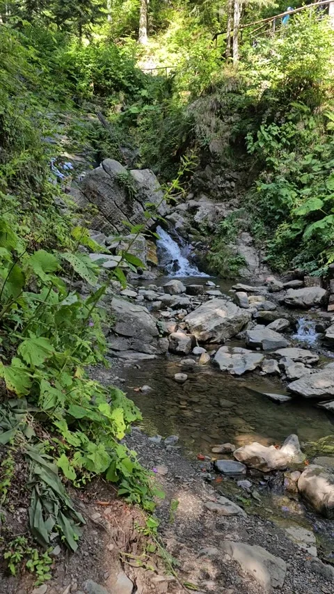 Water Flow in Emerald Green Mountain Stream Stock Footage 312694072