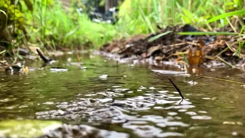 Water flow in the fields Stockbeeldmateriaal 232192017