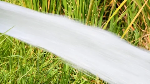 Water flow fields green in 4k ultra Stock Footage 97494659