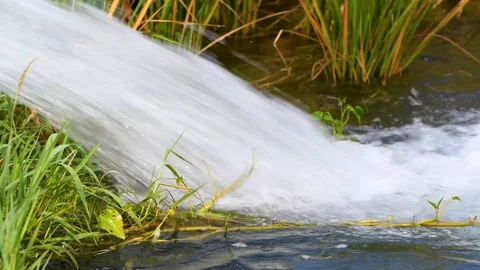 Water flow fields green Stock Footage 97494940