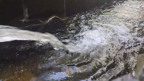 Water flow to the fish pond Stock Footage 302140543