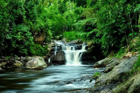 The water flow flows in a rocky river with lots of wild trees Foto stock