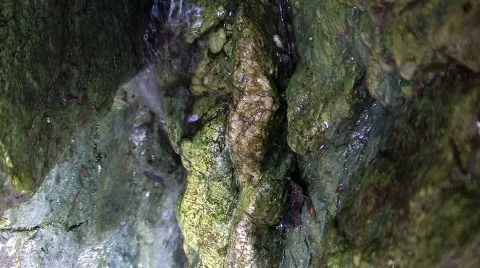 Water Flow Видео 264233