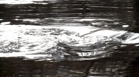 Water Flow Stock Footage 1106275