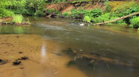 Water flow Stock Footage 38927416