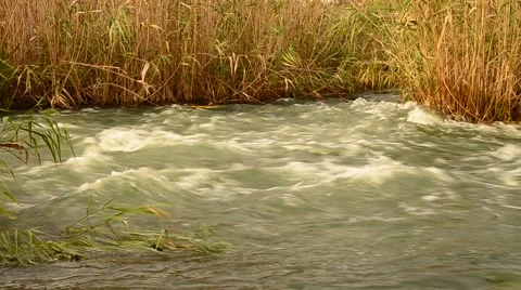Water flow  Stock Footage 59004801