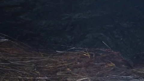 Water flow Stock Footage 73593084