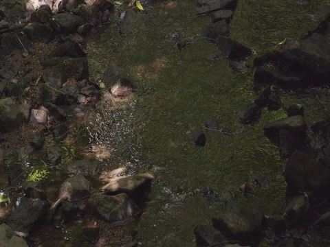 Water flow Stock Footage 76905436