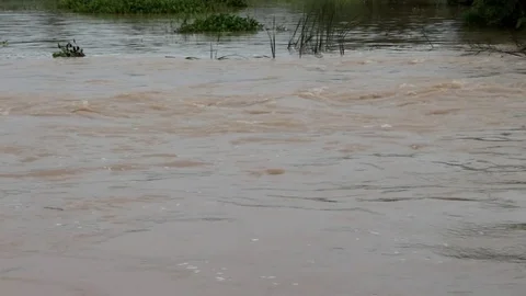Water flow. Stock Footage 78504543