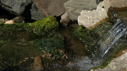 Water flow 動画素材 101313705