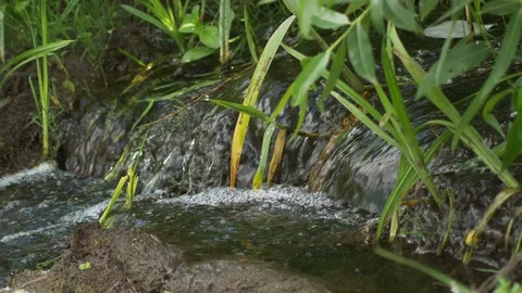 Water flow 스톡 동영상 111071116