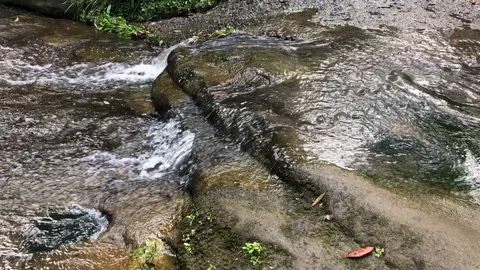 Water flow Stock Footage 116312508