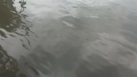 Water flow 動画素材 167417225