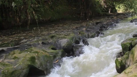 Water Flow 動画素材 171374561