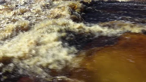 Water flow. Stock Footage 194050308