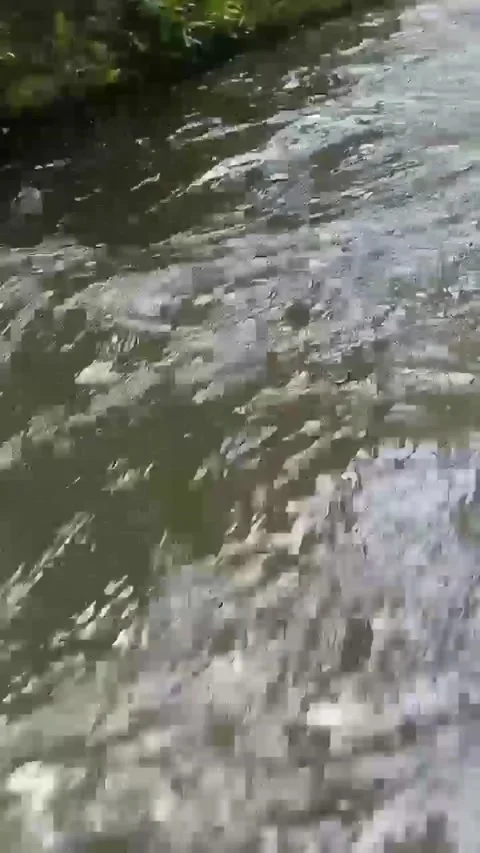 Water Flow Video stock 203217143