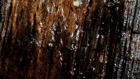 Water flow Video stock 230212240