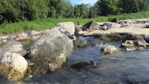 Water flow Video stock 243663775