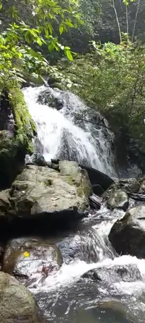 WATER FLOW 스톡 동영상 243696685