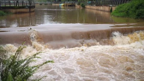 Water flow Stock Footage 264096431