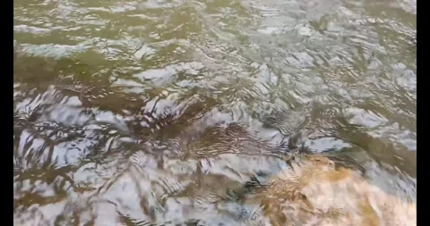 Water flow Stock Footage 285467725