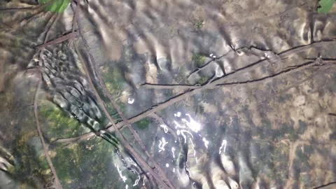 Water flow Stock Footage 298929739