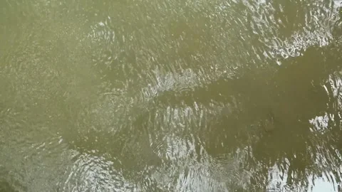 Water flow Stock Footage 331574422