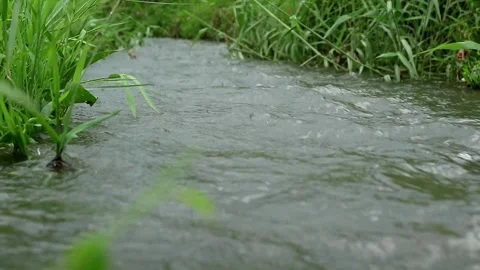 Water flow Stock-Footage 331813856