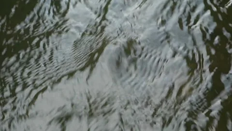 Water flow Stock-Footage 331813858