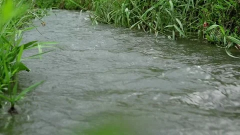 Water flow Stock-Footage 331813901