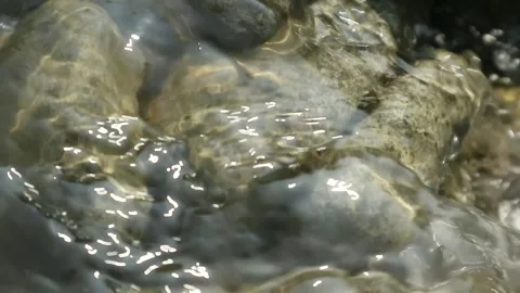 Water flow Stock Footage 341319205